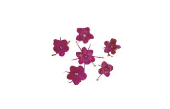 Flores decoración Nail Art | Color Rosa